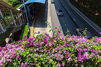 战地雄起了！《战地6》Steam在线峰值超74万人